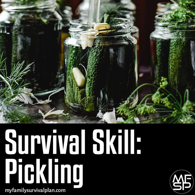 Awesome Survival Skill: Pickling
