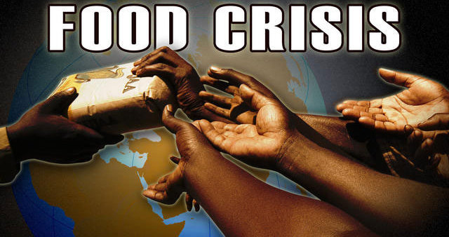 2013 A Year Of Food Crisis