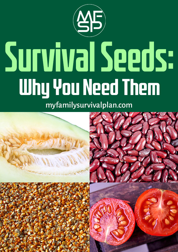 Survival Seeds Why You Need Them