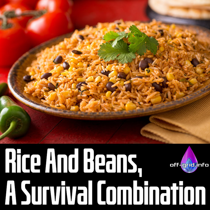 Rice And Beans, A Survival Combination
