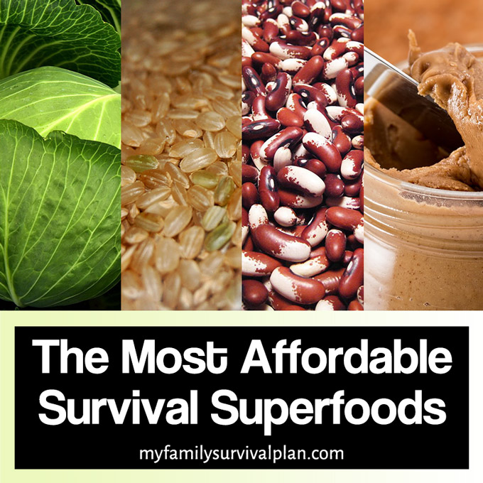 The Most Affordable Survival Superfoods