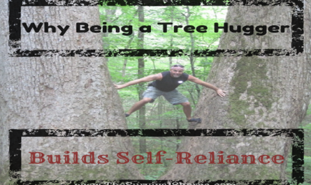 why-being-a-tree-hugger-builds-self-reliance