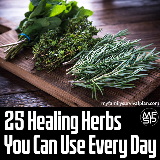 25 Healing Herbs You Can Use Every Day