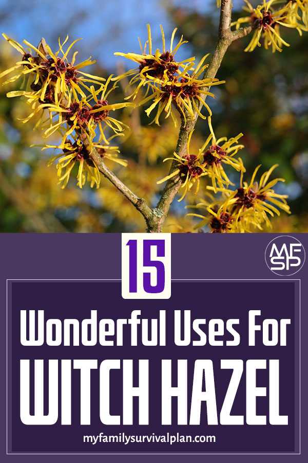 15 Wonderful Uses For Witch Hazel