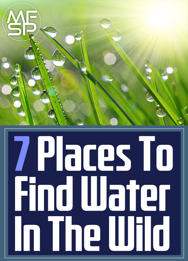 7 Places To Find Water In The Wild