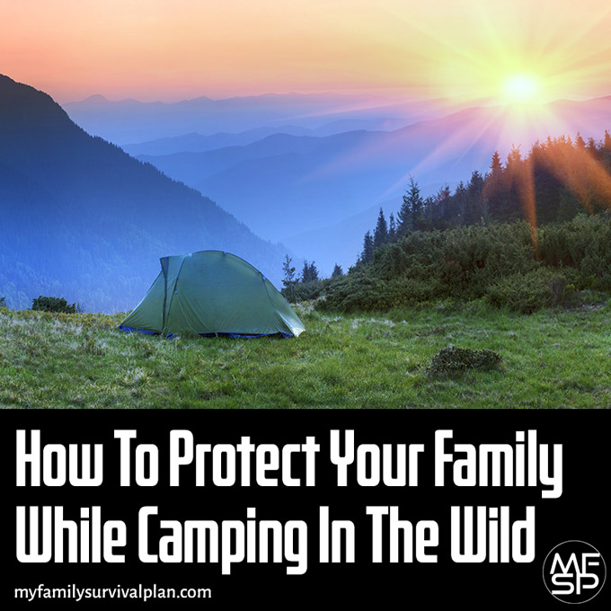 How To Protect Your Family While Camping In The Wild