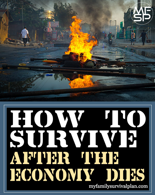 How To Survive After The Economy Dies