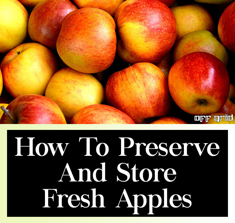 How To Preserve And Store Fresh Apples