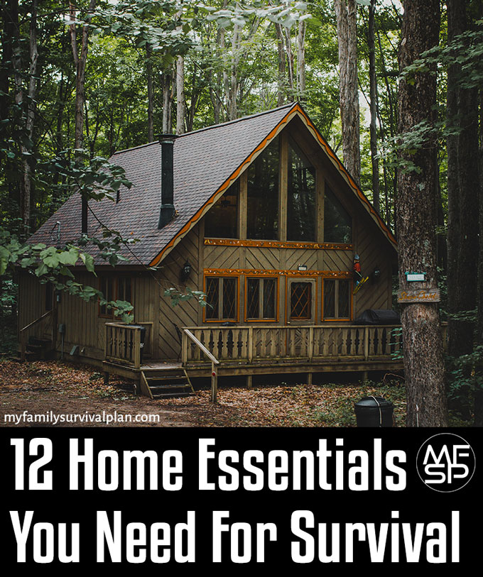 12 Home Essentials You Need For Survival