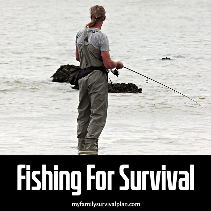 Fishing For Survival
